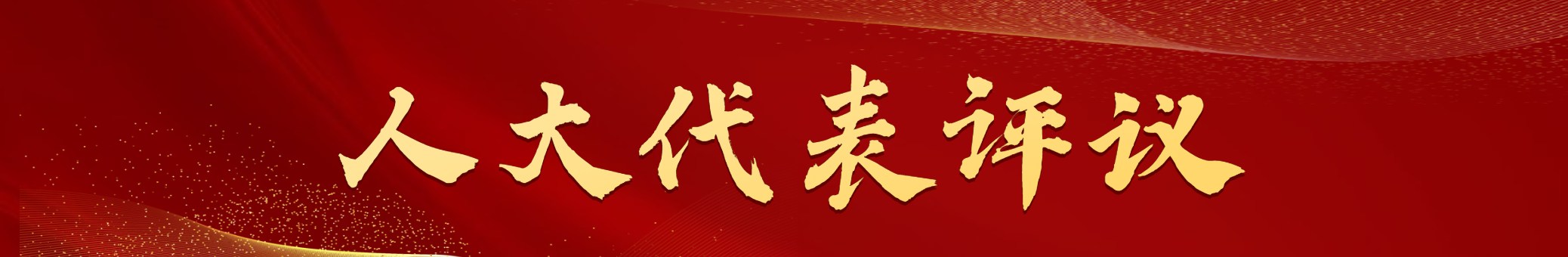 人大代表評議.jpg